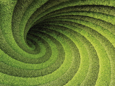 Fototapete Grüne Spirale