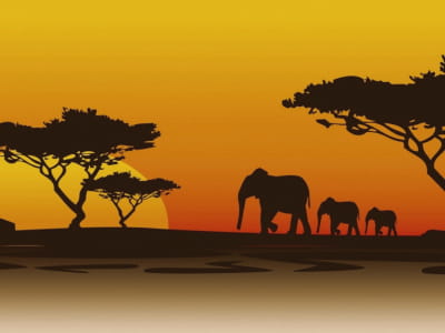 Fototapete Sonnenuntergang in Afrika