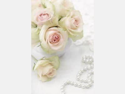 Fototapete Weiße Rosen und Perlen