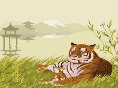 Fototapete Ruhender Tiger