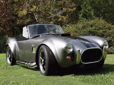 Fototapete AS Cobra