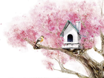 Fototapete Vogelhaus auf einem Baum