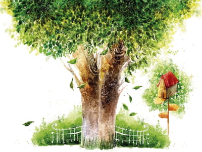 Fototapete Großer Baum