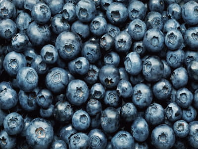 Fototapete Blaubeere