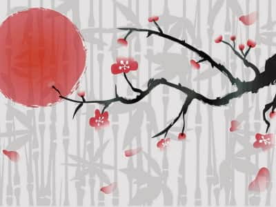 Fototapete Sakura auf einem Hintergrund aus Bambus