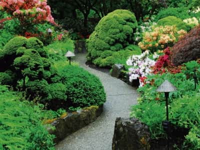 Fototapete Wunderschöner blühender Garten
