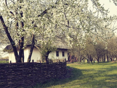 Fototapete Gemütliches Haus im Dorf