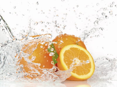 Fototapete Orangen im Wasser