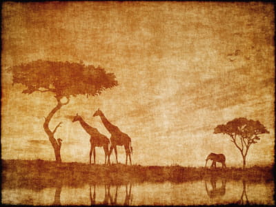 Fototapete Afrika-Landschaft
