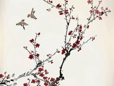 Fototapete Sakura und Vögel