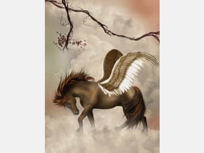 Fototapete Geflügelter Pegasus