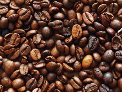 Fototapete Kaffeebohne