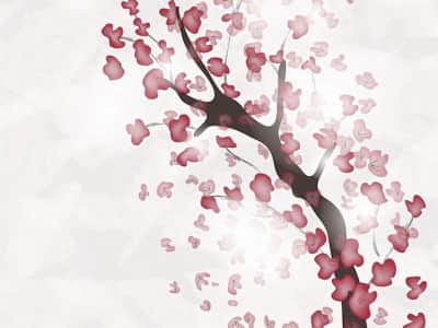 Fototapete Sakura-Aquarell