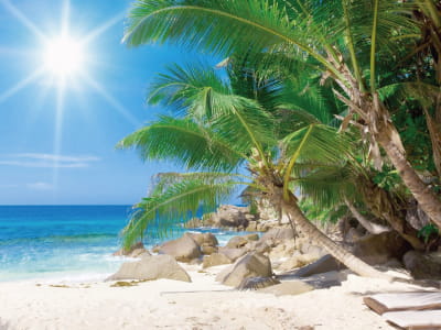 Fototapete Palmen Strand Meer