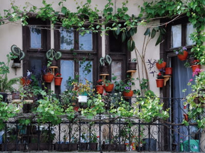 Fototapete Blumen auf dem Balkon