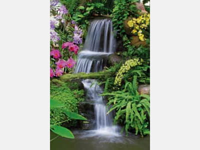 Fototapete Künstlicher Wasserfall im Garten