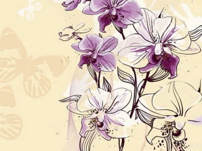 Fototapete Lila Orchideenzeichnung