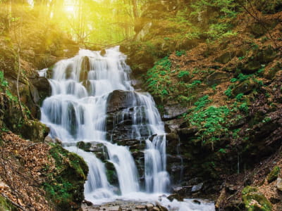 Fototapete Wasserfall mitten im Wald