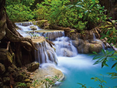 Fototapete Waldwasserfall