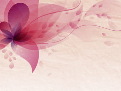 Fototapete Luftige rosa Blume