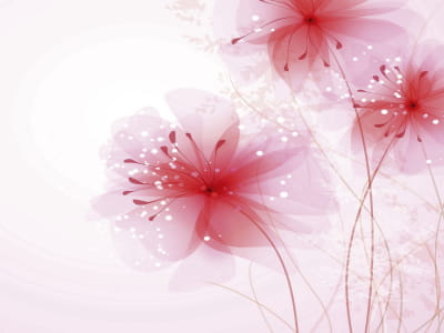 Fototapete Drei Blumen