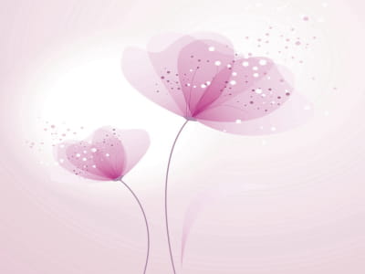 Fototapete Staubige rosa Blüten