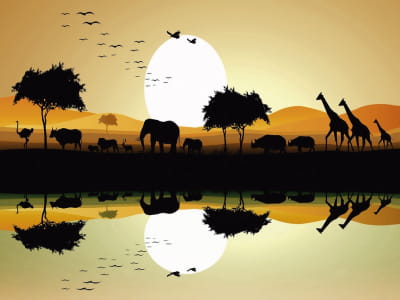 Fototapete Natur Afrikas