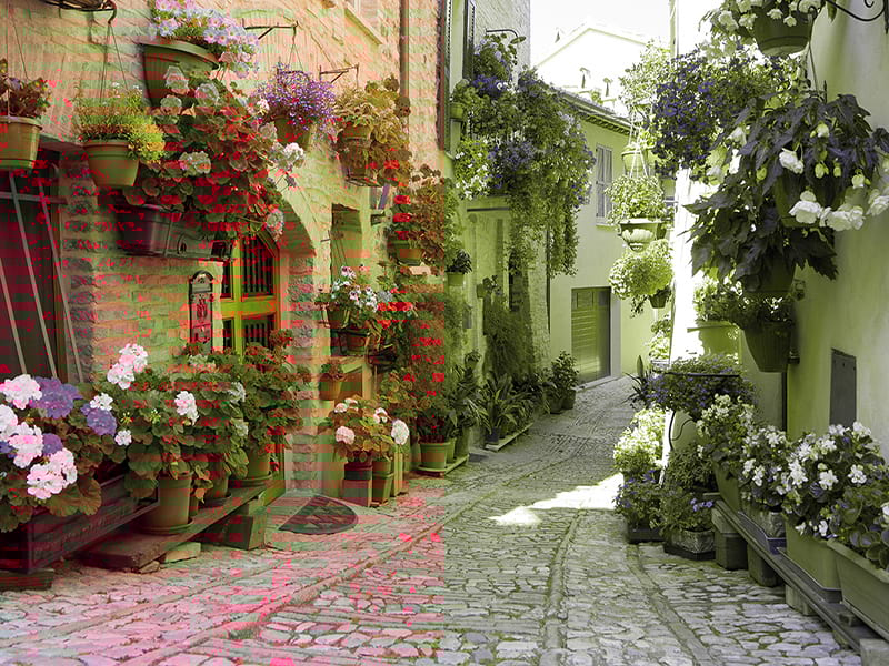 Fototapeta Blumenstraße