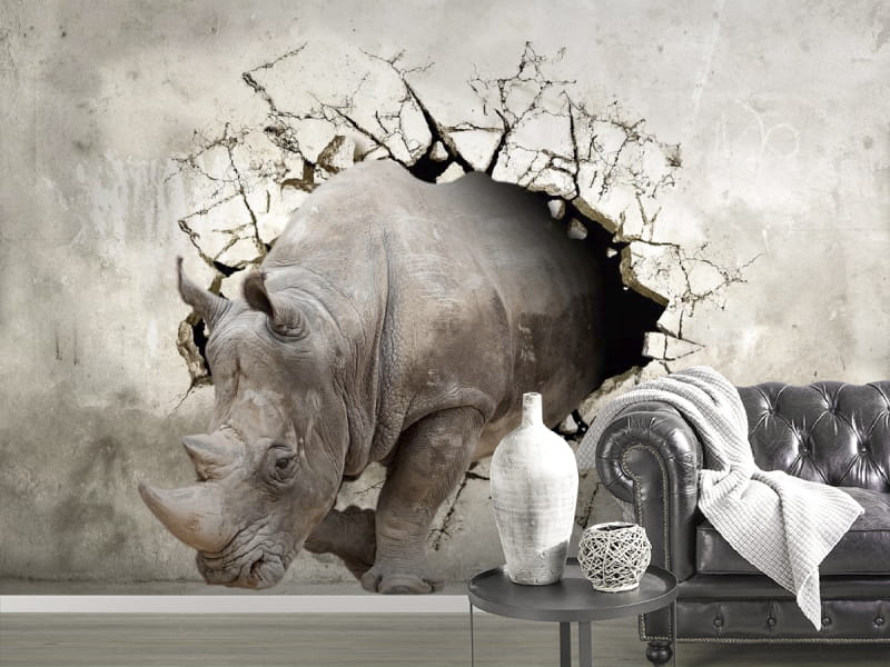 Fototapeta Nashorn von der Wand we wnętrzu przedpokoju