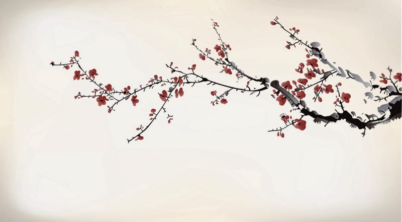 Fototapeta Sakura-Zweig