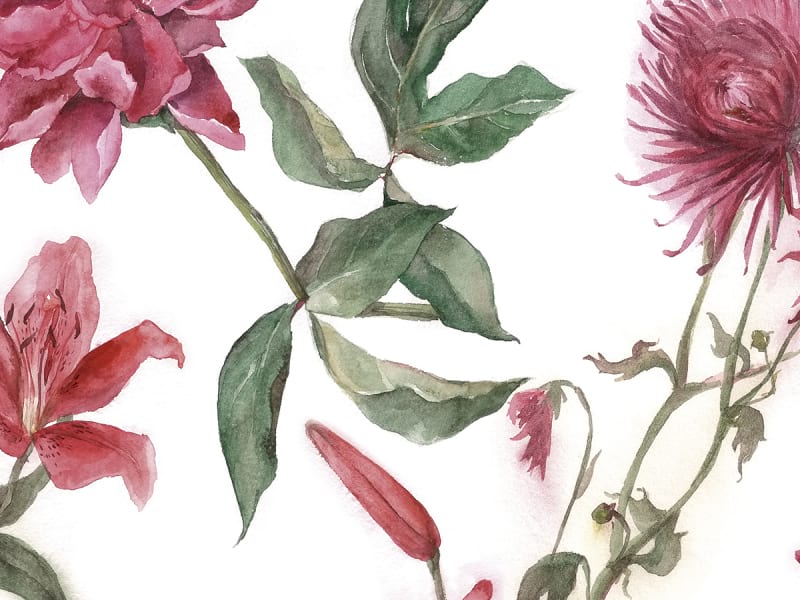 Fototapeta Kolibri und Blumen fragment # 1