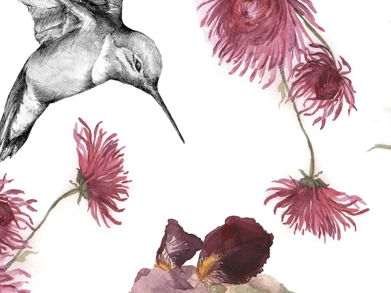 Fototapeta Kolibri und Blumen fragment #2