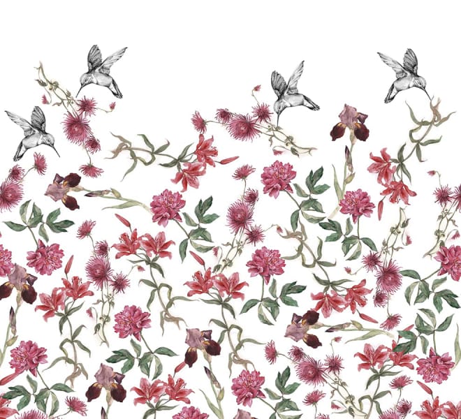 Fototapeta Kolibri und Blumen