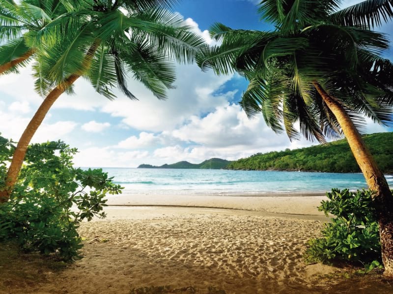 Fototapeta Seychellen