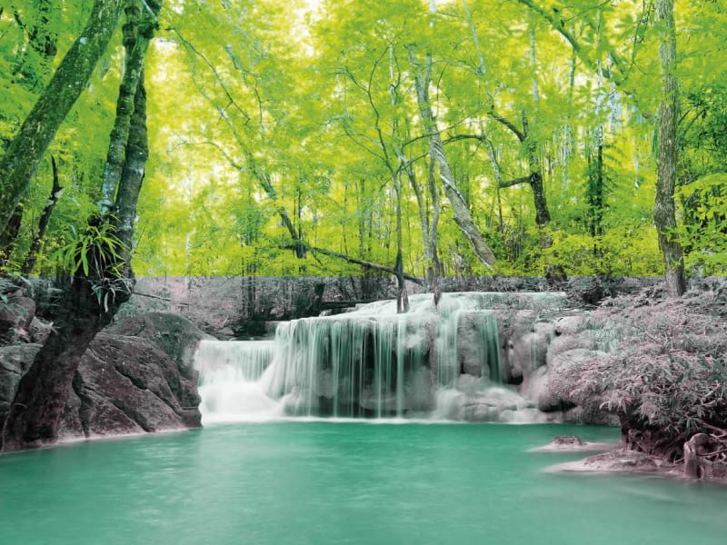 Fototapeta Naturwaldwasserfall