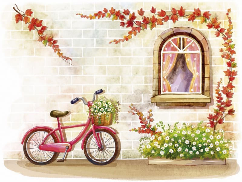 Fototapeta Rosa Fahrrad