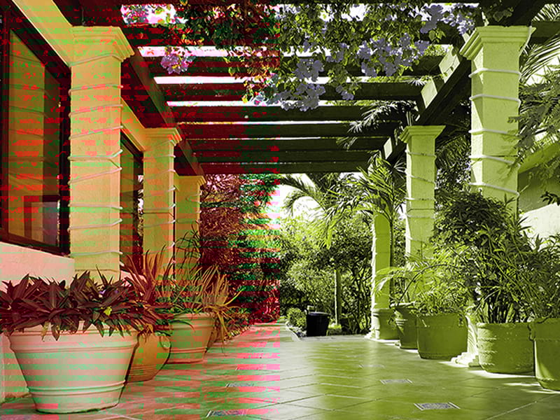 Fototapeta Terrasse in Blumen