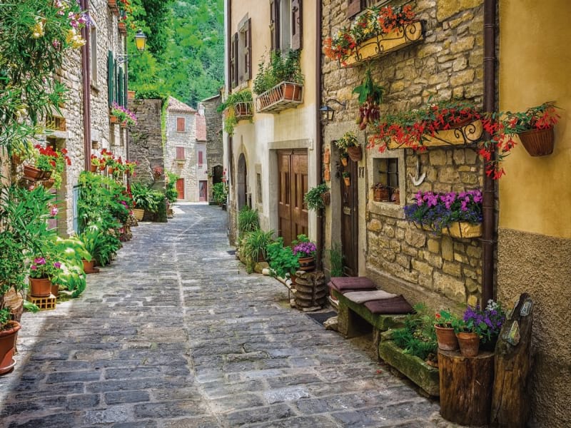 Fototapeta Straßen der Provence