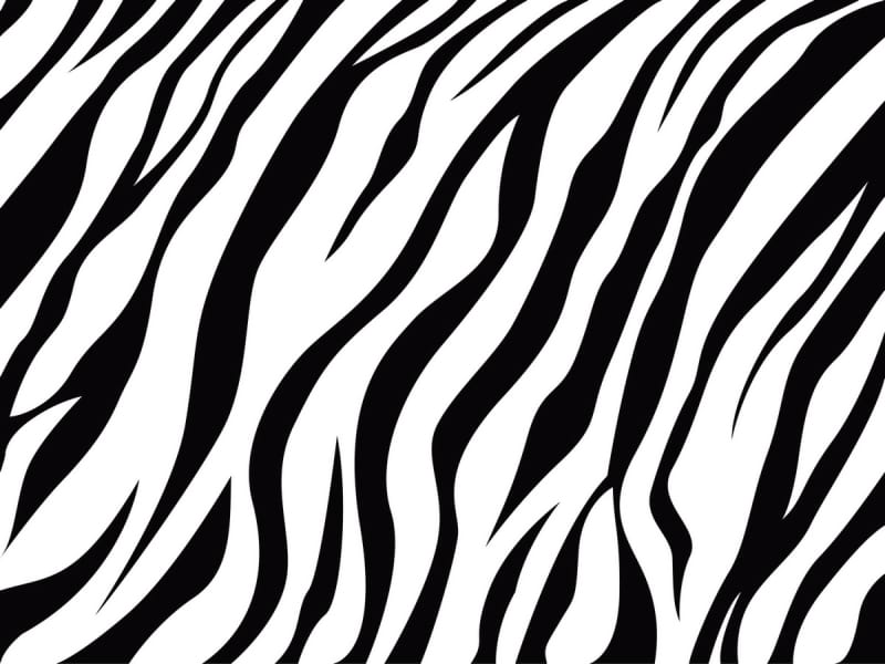Fototapeta Zebra-Teppich