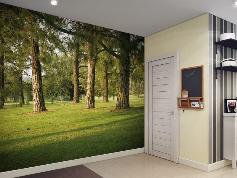 Fototapeta Nadelbaumstämme we wnętrzu przedpokoju