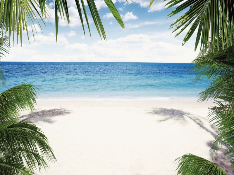 Fototapeta Wunderschöner tropischer Strand