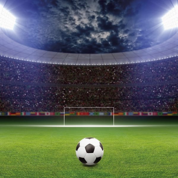 Fototapeta Ball im Stadion