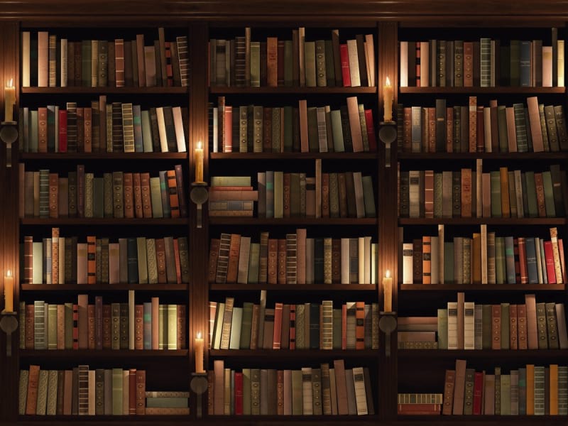 Fototapeta Bücherregale in der Bibliothek