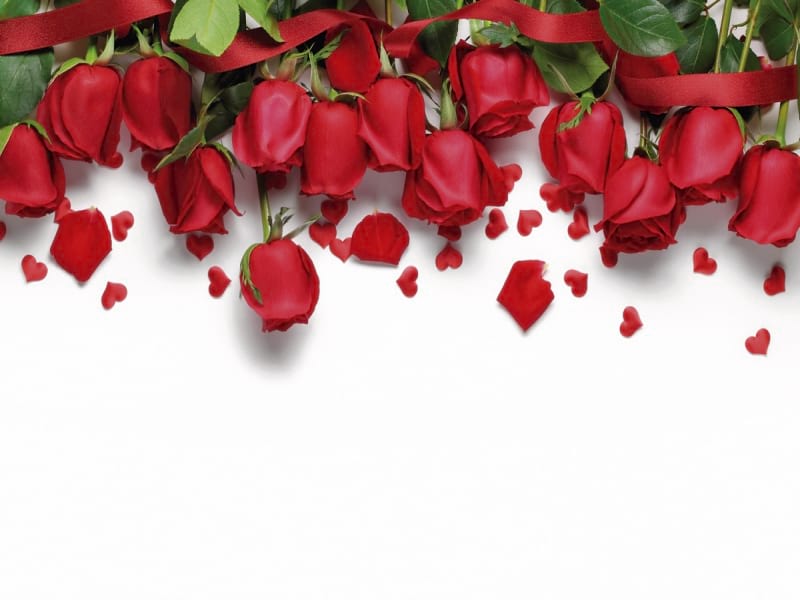Fototapeta Wunderschöne rote Rosen