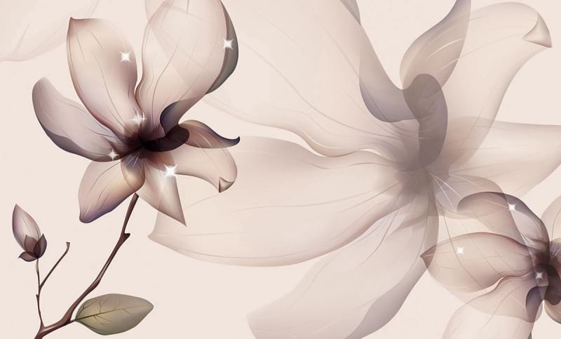 Fototapeta Magnoliengrafiken