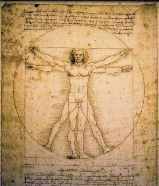 Fototapeta Vitruvianischer Mann, Zeichnung