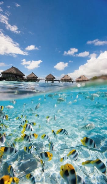 Fototapeta Tauchen unter Wasser