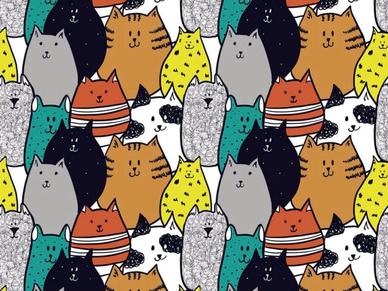 Fototapeta Cartoon-Katzen