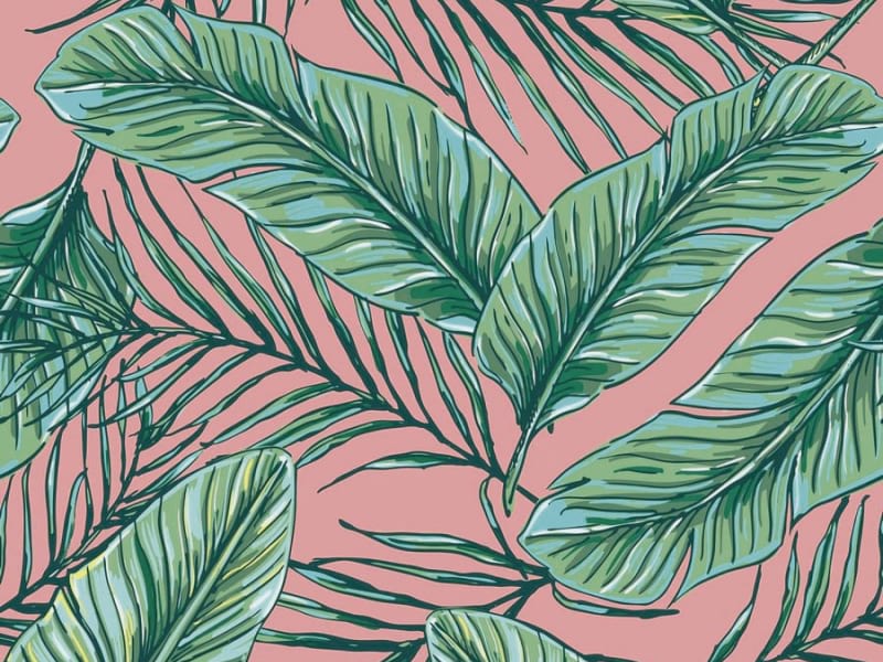 Fototapeta Bananenblätter auf rosa Hintergrund