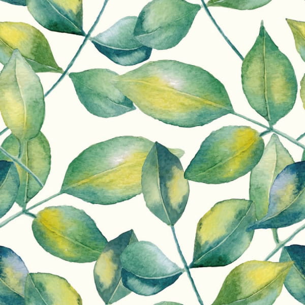 Fototapeta Rosenblätter
